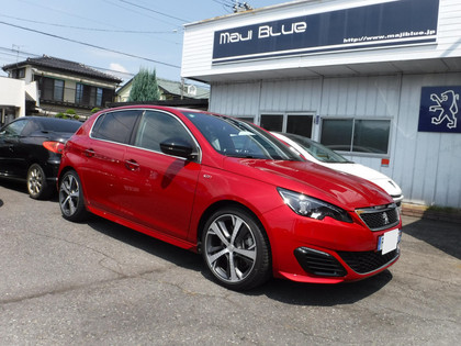 308gti250-1024x768.jpg
